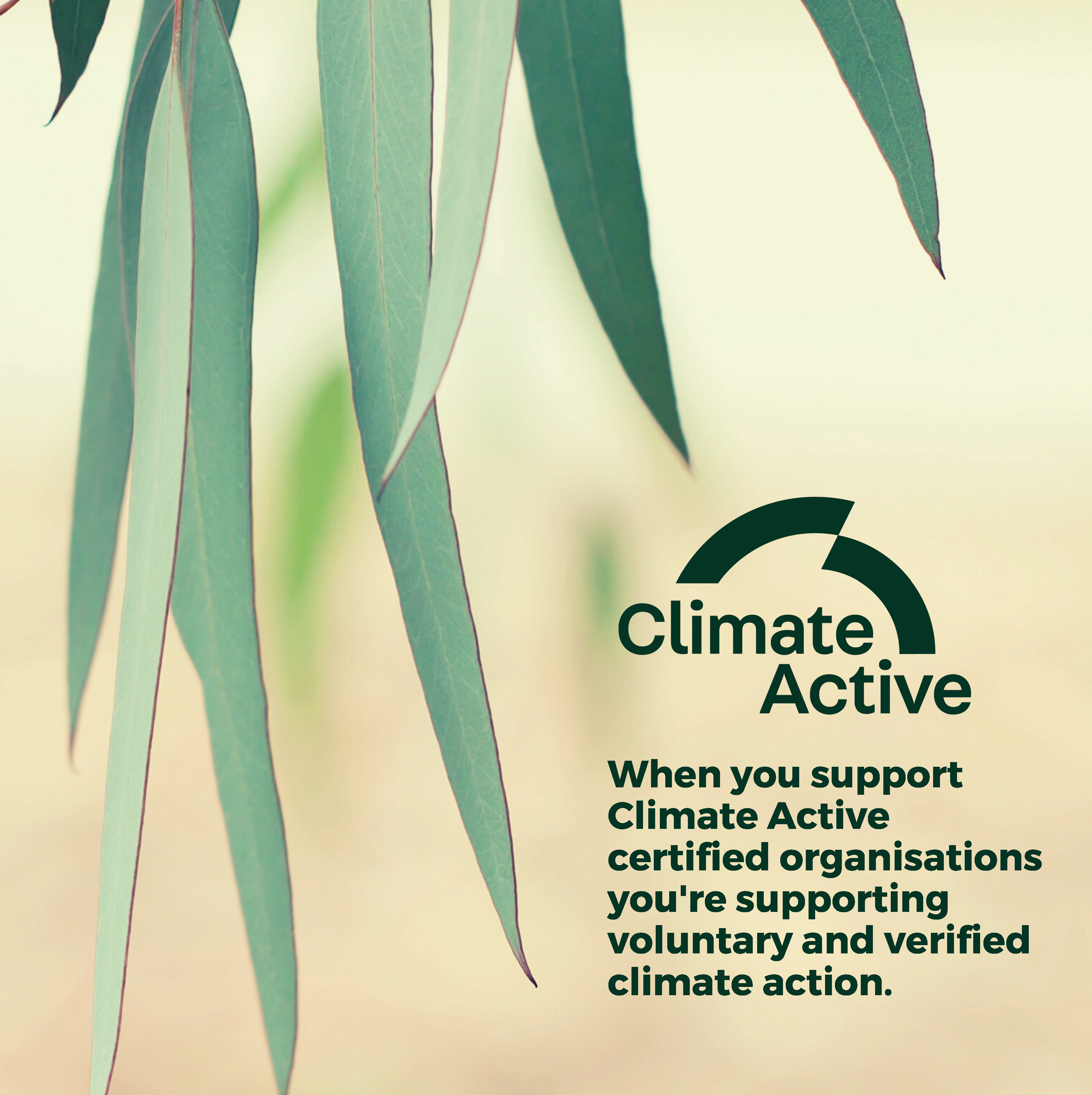 We are Climate Active 6_6